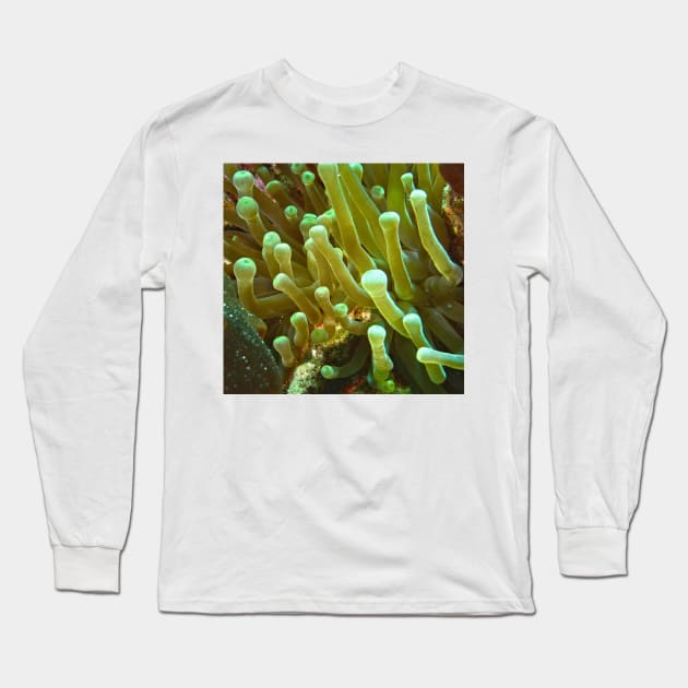 Giant Yellow Sea Anemone Long Sleeve T-Shirt by Scubagirlamy